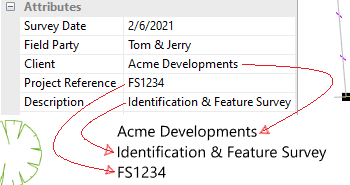 Project Attribute Text